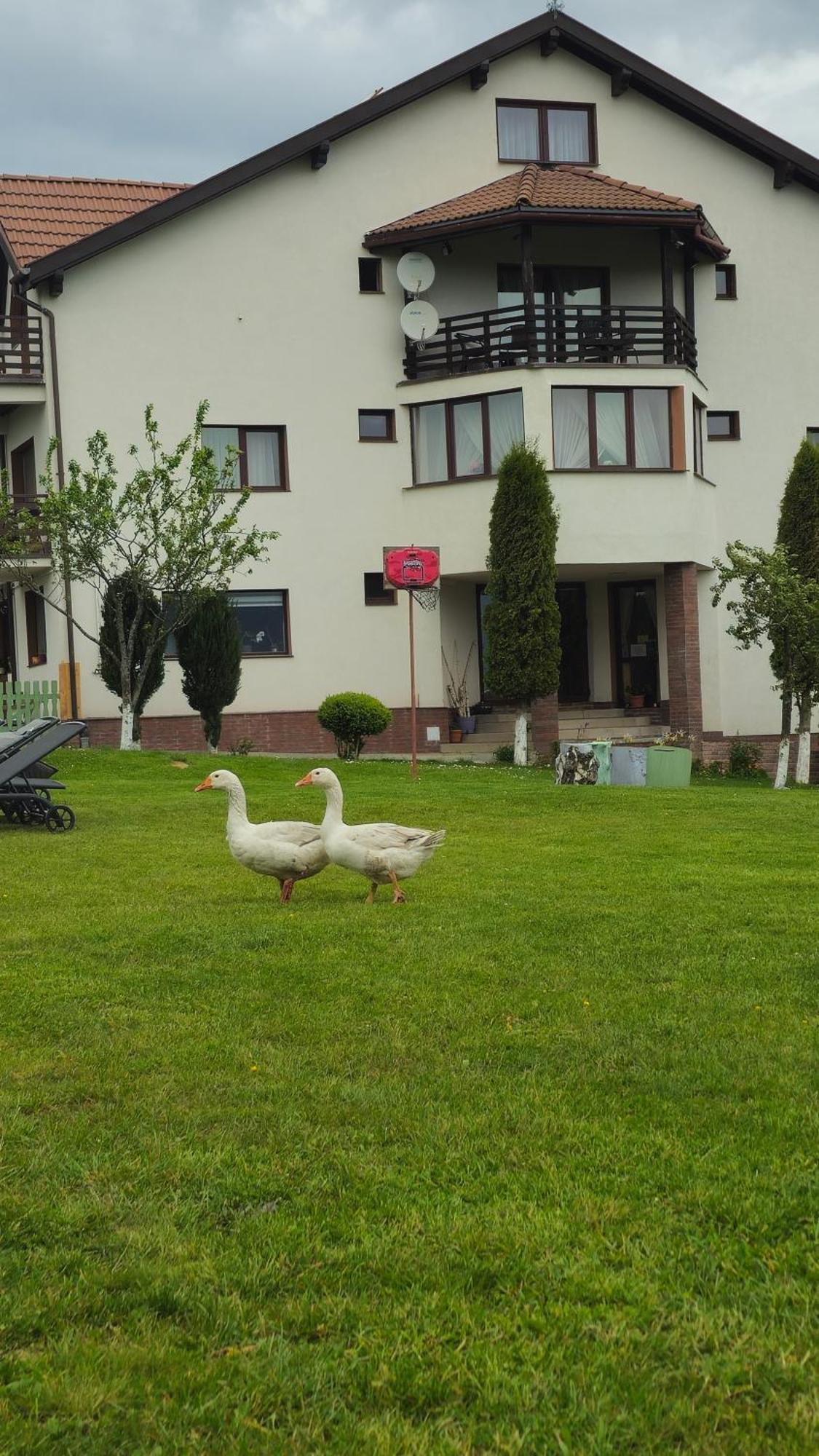 Pensiunea Tabacaru Peştera Екстериор снимка