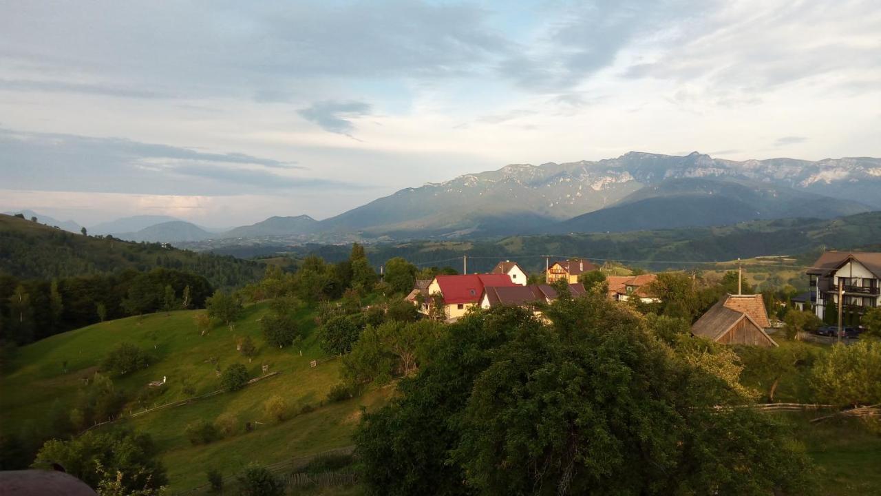 Pensiunea Tabacaru Peştera Екстериор снимка