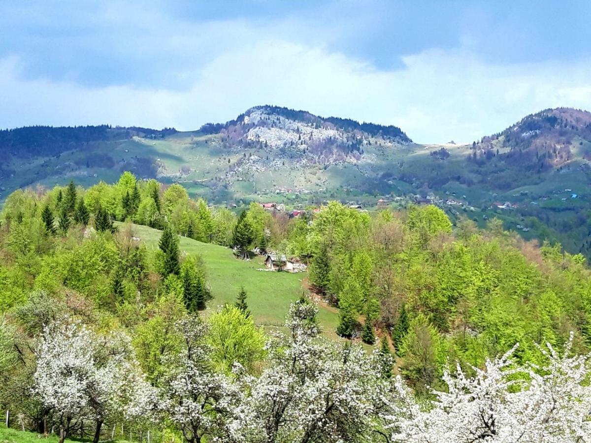 Pensiunea Tabacaru Peştera Екстериор снимка